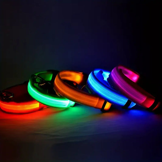 LED Collar